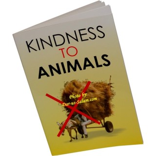 Kindness to Animals – Buy Kids Story Book | Dar-us-Salam