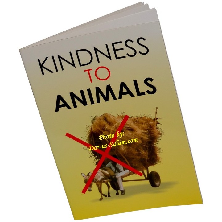 Kindness to Animals – Buy Kids Story Book | Dar-us-Salam