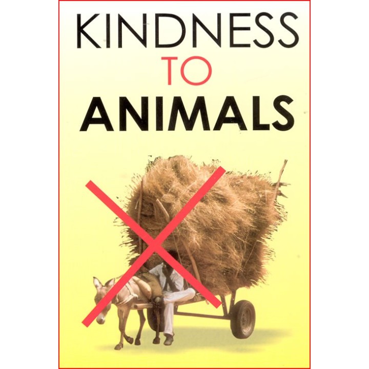 Kindness to Animals – Buy Kids Story Book | Dar-us-Salam