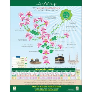 Lineage of Prophets Poster (Urdu) | Learn | Dar-us-Salam