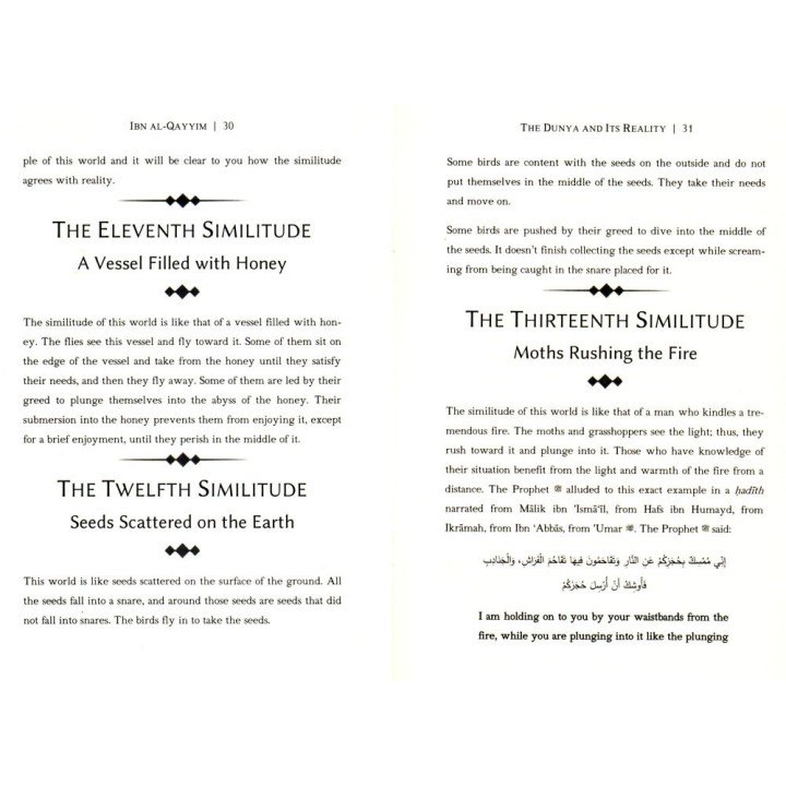 The Dunya and Its Reality