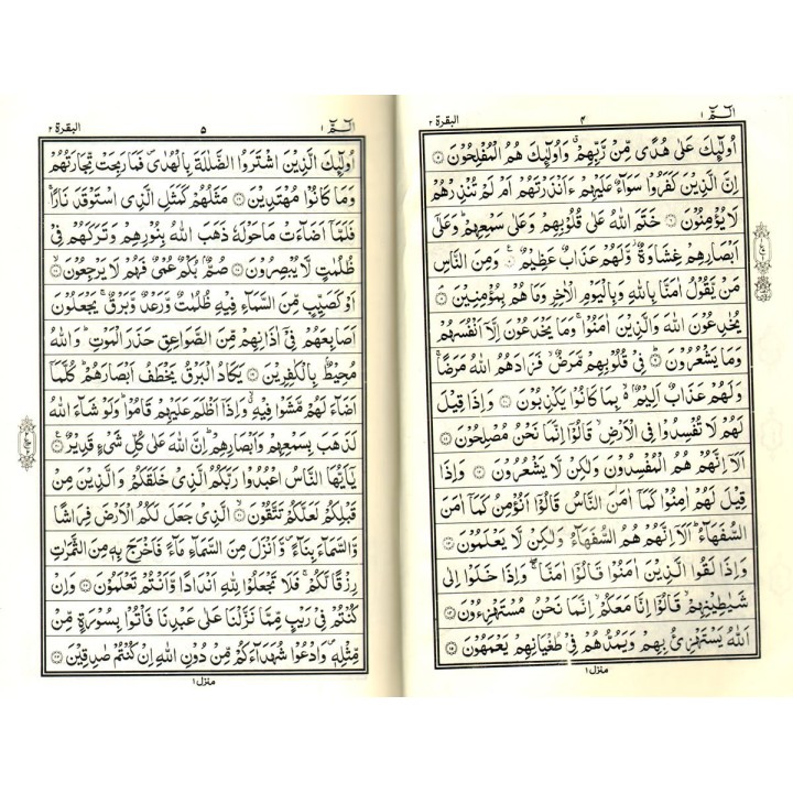 Quran 15-Line Indo-Pak (6x9" - 167A)