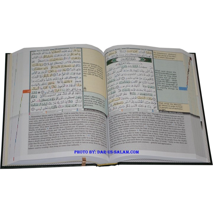 Tajweed & Memorization Quran with English (7x10")