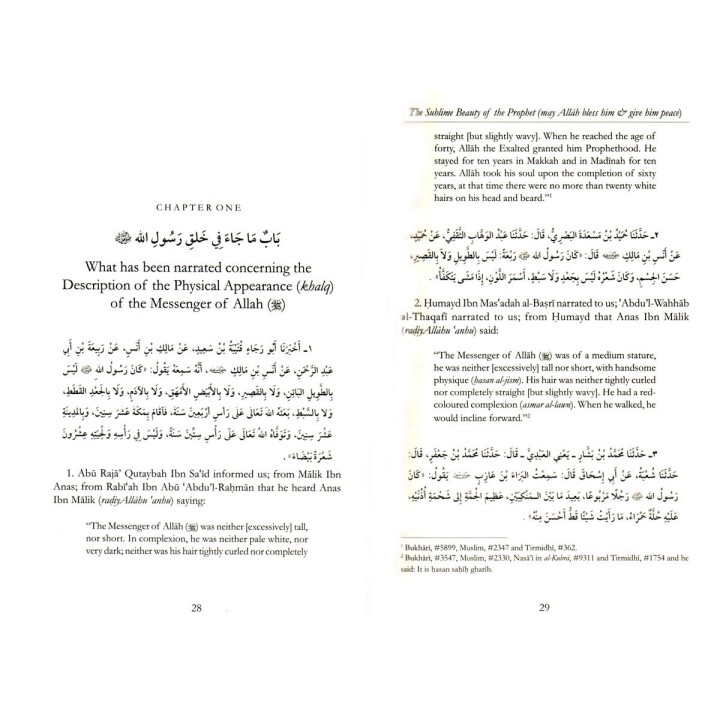 The Sublime Beauty Of The Prophet