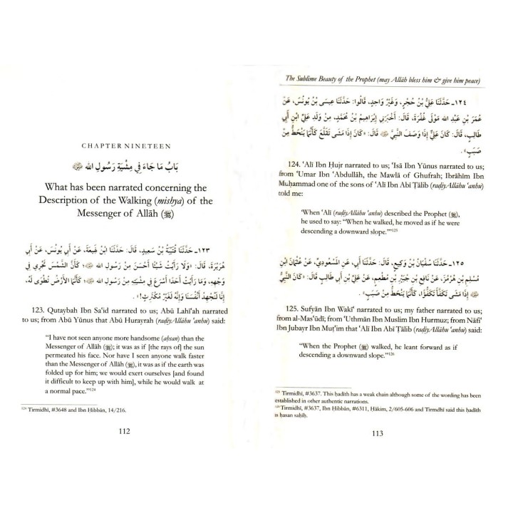 The Sublime Beauty Of The Prophet