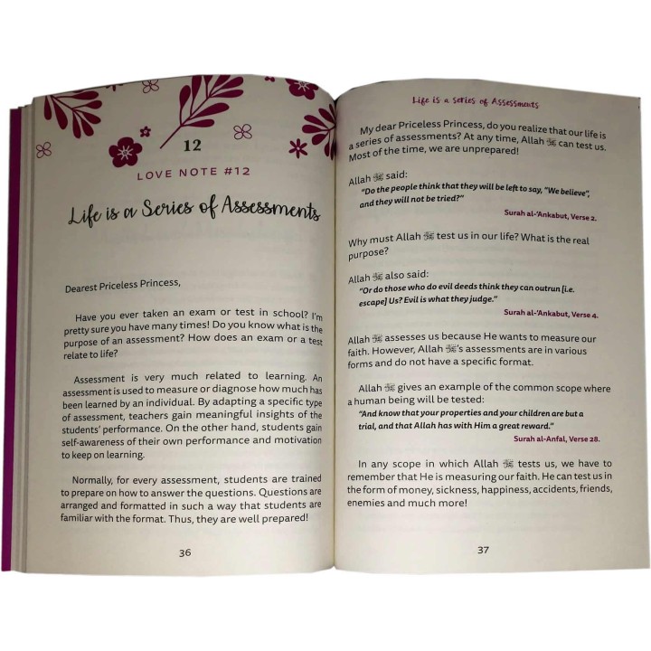 A Priceless Princess - Love Notes to a Daughter