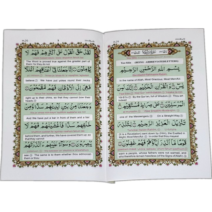 Surah Yaseen with English (265) | Shop Surah at Dar-us-Salam